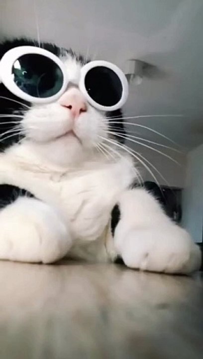 DJ KAT