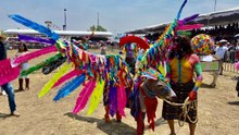 Celebran la 59 Feria del Burro en Otumba, Edomex