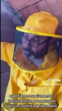 Anguillara Sabazia, rimosso dalla scuola elementare un gigantesco nido con 100mila api