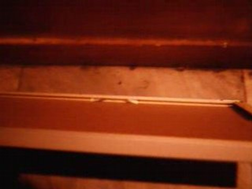 IMAG0010