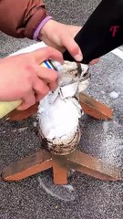 Quick Fix_ Sneakers Cleaning Guide #shorts