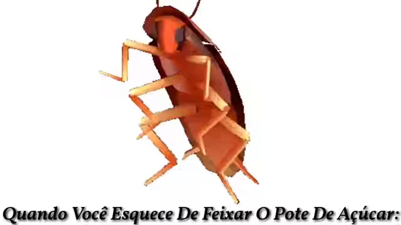 Meu 50º Meme (Feito Por Mim.), Quando Você Esquece De Fechar O Pote De Açúcar: