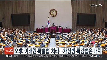 오후 '이태원 특별법' 처리…채상병 특검법은 대치