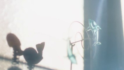Extraordinary Attorney Woo ep 8 eng sub