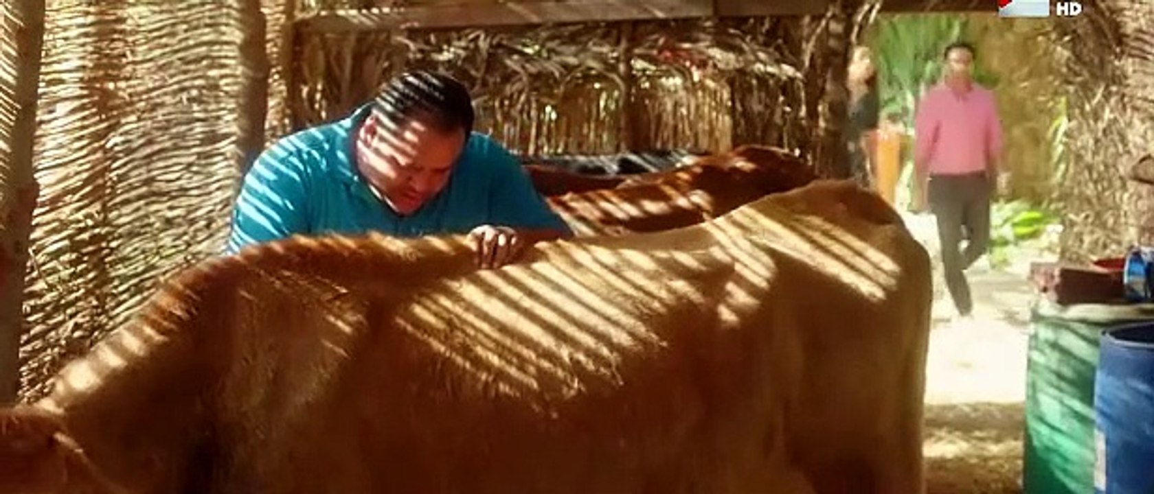 فيلم بشترى راجل نيللى كريم و محمد ممدوح