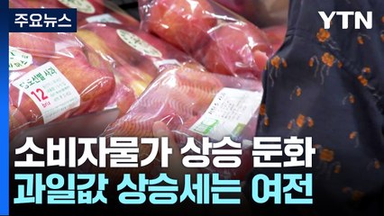 지난달 물가 2.9%, 석 달만에 2%대 둔화...'사과·배' 고공행진 / YTN