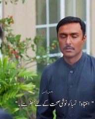 Numaan ijaazat beautiful pk drama PARIZAD short seen