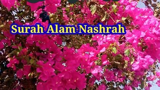 Surah Alm Nashrah | Tilawat quran | Beautiful voice | Learn Quran