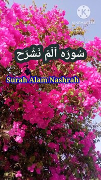 Surah Alm Nashrah | Tilawat quran | Beautiful voice | Learn Quran
