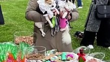 Campobasso, primo matrimonio tra cani