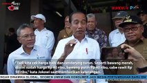 Presiden Jokowi Cek Harga Sembako di NTB
