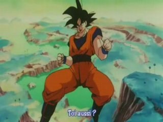 SanGoku contre Cooler 2