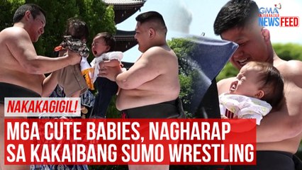 Download Video: NAKAKAGIGIL! Mga cute babies, nagharap sa kakaibang sumo wrestling | GMA Integrated Newsfeed