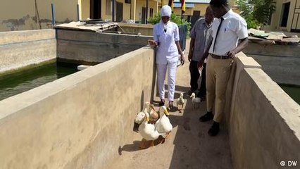 Ghana’s Eco Hospital helps patients heal