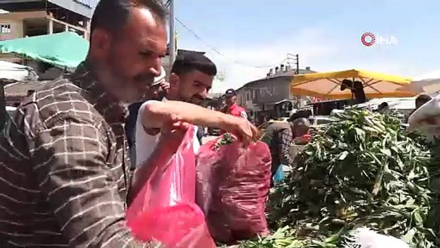 O Türkiye'nin kendi kendine yetişen şifa kaynağı mucizesi