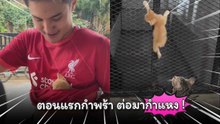 หนุ่มเจอแมวส้มตัวน้อยสงสารพากลับบ้าน กลายร่างสุดซน ตอนแรกกำพร้า ต่อมากำแหง !