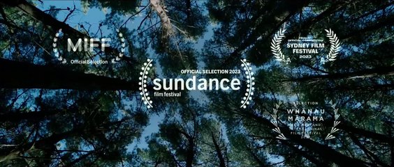 Bad Behaviour Fragman (2) OV