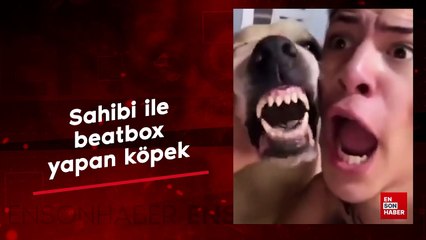 Sahibi ile beatbox yapan köpek