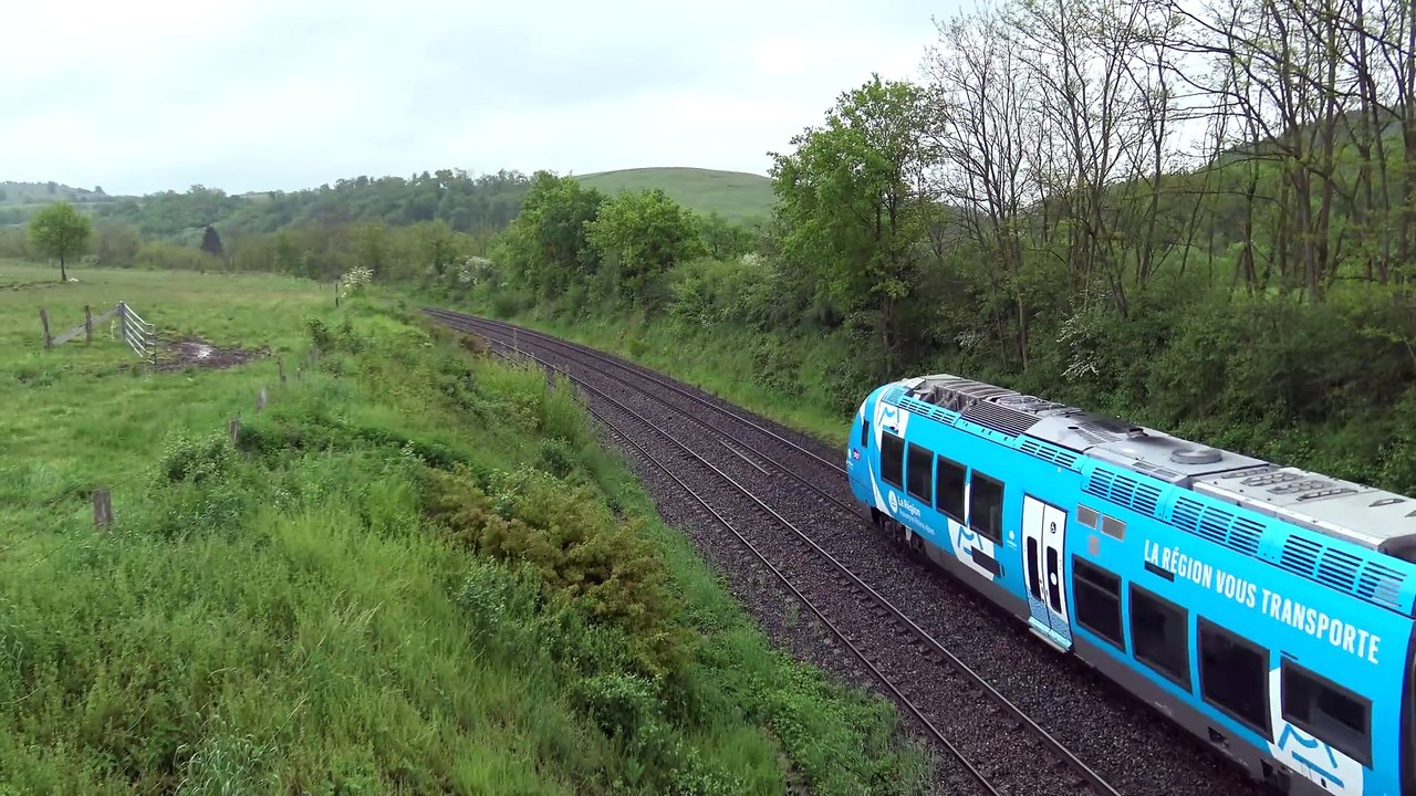 Compilation Viddeos de Traubs Mai-2023