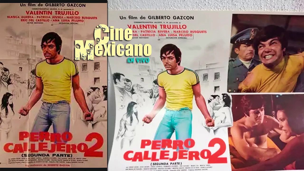 PELICULA PERRO CALLEJERO 2