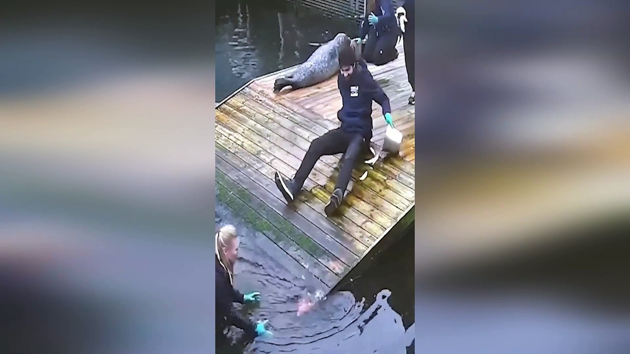 Moments marrants