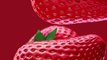 ECTLS - C'est quoi les grains sur les fraises ?