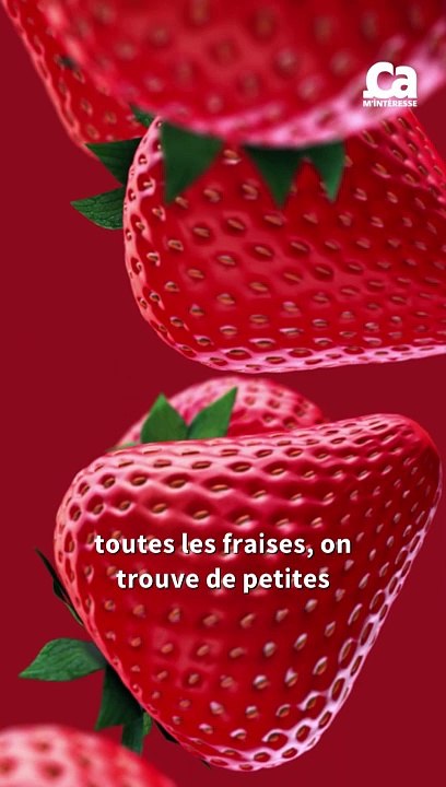 ECTLS - C'est quoi les grains sur les fraises ?