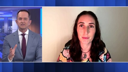 Glider spotted in Queensland forest for first time in 25 years