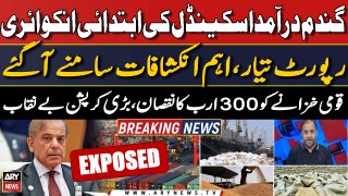 Wheat import scandal: Initial report ‘reveals’ shocking details | Breaking News
