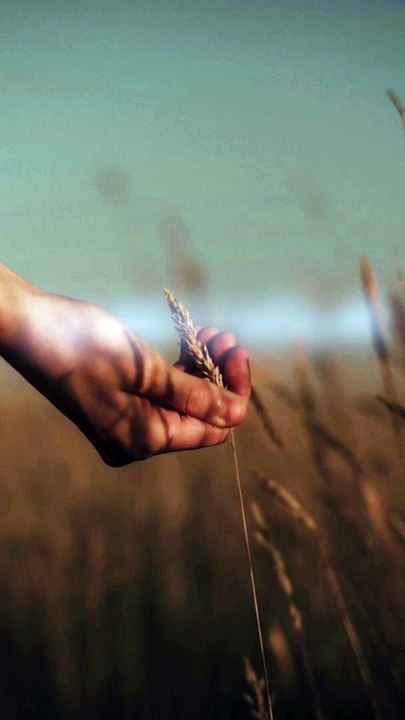 Poetry in Urdu Hindi | Qasid ny Kaha yad Wo Karty Hain apko | قاصد نے کہا یاد وہ کرتے ہیں آپ کہ Weird stories | Urdu Hindi | #weirdstories #urdupoetry #poetry #shairy #viralpoetry #sadurdupoetry #trendingurdupoetry