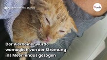 Fischer sehen etwas aufblitzen und können nicht fassen, was sie aus dem Wasser ziehen
