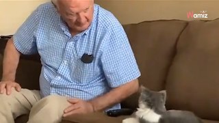 Video. Il nonno non ama i gatti, ma deve occuparsi di una gattina per una settimana: ecco come va a finire