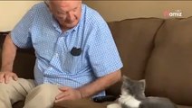Video. Il nonno non ama i gatti, ma deve occuparsi di una gattina per una settimana: ecco come va a finire