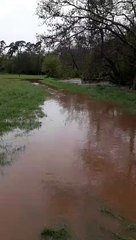 Attached vid of River Tone near Tonedale this morning. Credit Chris Penney.
