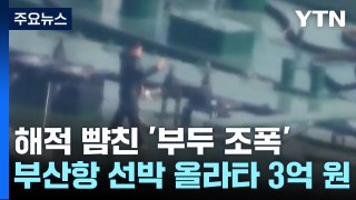 부산항 선박 올라타 3억 원 뜯어낸 부두 조폭들...12명 구속 / YTN