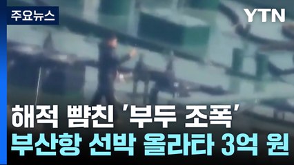 부산항 선박 올라타 3억 원 뜯어낸 부두 조폭들...12명 구속 / YTN