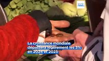 L'OCDE prévoit une croissance stable des économies mondiales pour 2024 et 2025