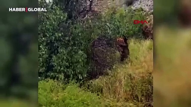 Şanlıurfa'da sağanak yağış: Yollar göle döndü, sürücüler zor anlar yaşadı