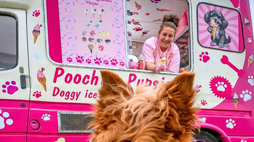 A mum who quit her air hostess job to work with dogs has launched her latest venture - an ice cream van exclusively for pooches.Emmie Stevens, 36, opened Poochies Pupsicles on March 31 - and says business is booming.Based in south London, she is making the van available for hire - and is planning to hit the road this summer.Emmie, a mum-of-one, left her cabin crew role 15 years ago to work as a groomer after realising dogs were her "niche in life".She first hit upon the idea of the ice cream van four years ago after visiting a tradeshow, and has now made it a reality.The menu includes stacks of options including a Doggy Mr Whippy which comes with a gravy bone and doggy sprinkles, and Pupsicle bites which is six different flavoured ice bites.Emmie, from New Addington, near Croydon said: “This is a very unique business, there isn't anything out there currently like me.”The inspiration for a dog-friendly business began when Emmie adopted her pet Doodles from a puppy farm.The mum-of-one explained that she went through a “troubled childhood”, such as being bullied at school and found it hard to socialise with humans.Emmie said: “I gave Doodles a chance – he was in a complete state when I got him. But when I took him on, he changed my life.”After rescuing Doodles, she and the pooch headed to dog events across London, and before she knew it, she ended her career as an airhostess and took a new role on as a dog groomer which she has now been doing for 15 years. She added: “I realised this was my niche in life – I wasn’t a people person.“I then realised dogs are for me – they’re very loyal, loving, and deserve to be spoiled.“I offered one-to-one service for the dogs at my clients houses and was so busy, but I then got a mobile dog grooming van.”Emmie’s business was so successful she opened a cage free dog grooming shop, and eight years later, she now has a three-year-old boy, eight dogs, and a brand-new ice cream van for dogs.She said: “I saw normal ice cream vans stocking dog ice creams – it wasn’t just me being over the top with my dogs - dogs are like people’s family now.“I am very over-the-top with my dogs; I dress them up, they have their own bedroom, shoes, buggies, and dresses – some dresses have cost me £60 per piece.“So, I wasn’t sure if I was just wanting to spoil my dogs, but even a normal person will want to spend a little money to give their doggy an ice cream”.After researching ingredients, figuring out what would appeal to humans, and what would taste great for dogs, Emmie decided it was time to buy an ice cream van, and make her dream a reality.Emmie says she plans on taking Poochies Pupsicles to the surrounding areas, such as West Wickham and Bromley, and will cover special days further afield, such as in Dartford and Lakeside.The van will also be up for hire in case of any grand openings or pup parties where ice cream might be needed.
