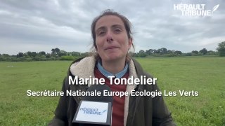Interview de Marine Tondelier Secrétaire nationale EELV en visite à Montpellier