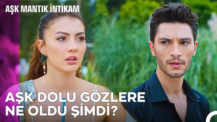 Aşk Acısını Atlatmanın Yolu Kafa Tatili - Aşk Mantık İntikam