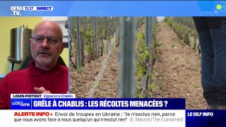 Louis Poitout (vigneron à Chablis) sur les intempéries: 