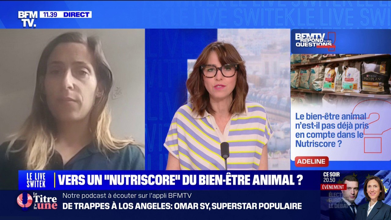 "Nutriscore" du bien-être animal: quels seront les critères ? BFMTV répond à vos questions