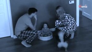 (Vídeo) Los padres duermen en la cama con su bebé: cuando se despiertan entran en pánico