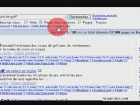 referencement et positionnement internet - seonetbiz mots-cl