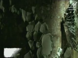 Mortiis - Decadent And Desperate