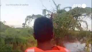 Quênia: homem é resgatado depois de três dias preso em árvore