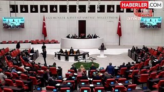 CHP Milletvekili Gülcan Kış, Mersin'in sorunlarını Meclis gündemine taşıdı
