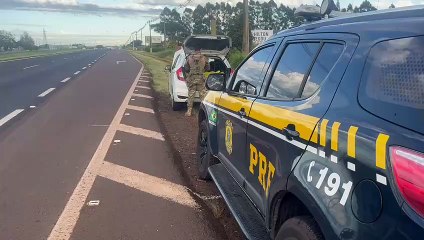 Maconha apreendida pela PRF na BR-277 totalizou 501 kg