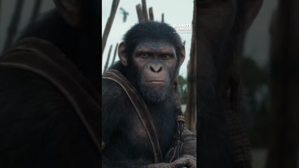 Vous aussi, assistez à une épopée hors du commun.  #LaPlaneteDesSinges #sponso